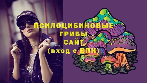 не бодяженный Абаза