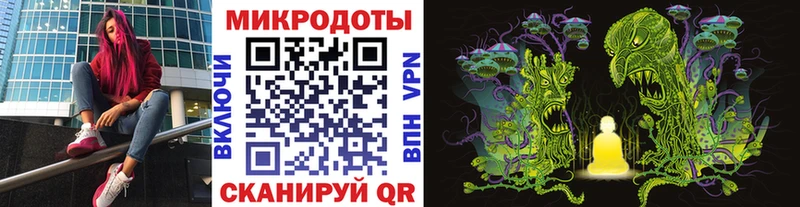блэк спрут ссылка  Энгельс  Галлюциногенные грибы Psilocybine cubensis 